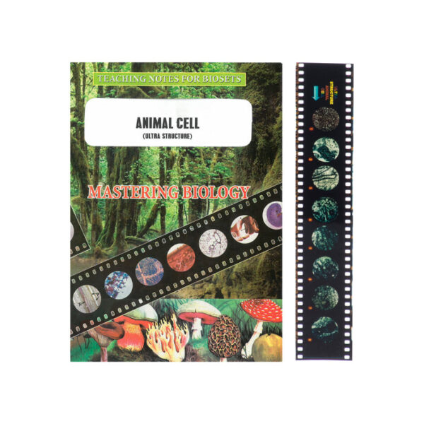 Bio Viewer Set - General - Ultrastructure of Animal Cells