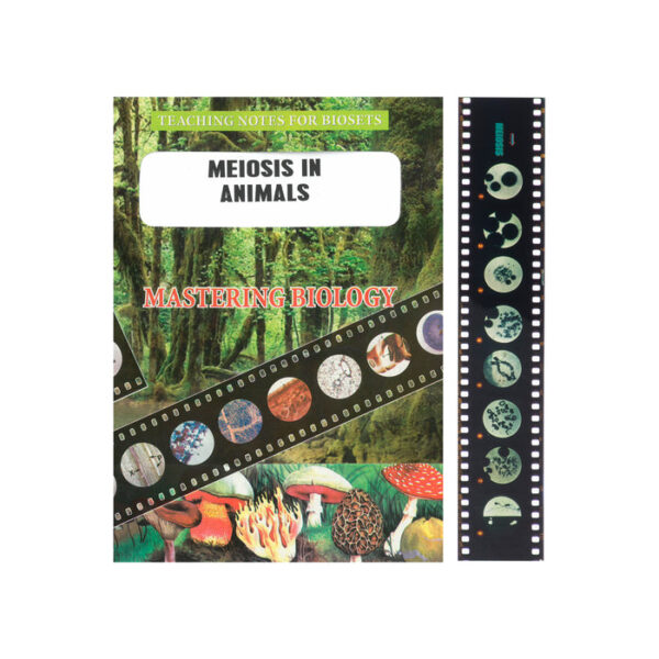 Bio Viewer Set - General - Meiosis