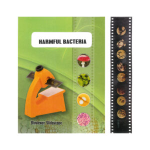 Bio Viewer Set - Bacteria, Protozoa & Virus - Harmful Bacteria