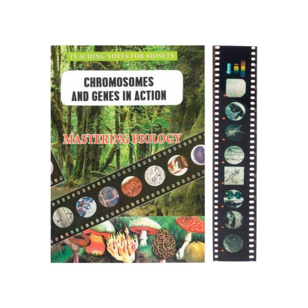 Bio Viewer Set - Human Biology & Health - Chromosomes & Genes in Action