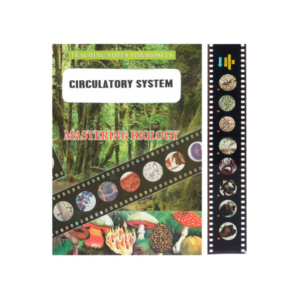 Bio Viewer Set - Human Biology & Health - The Circulatory System