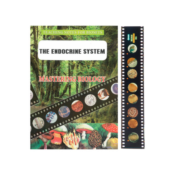 Bio Viewer Set - Human Biology & Health - The Endocrine System