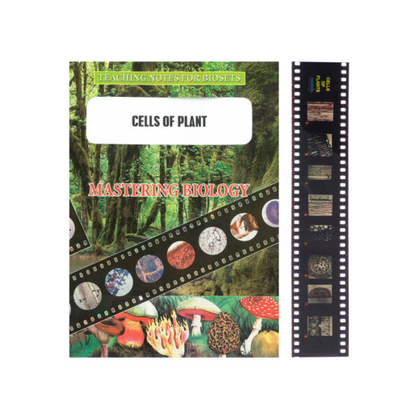 Bio Viewer Set - Plants & Fungi - Cell of plants