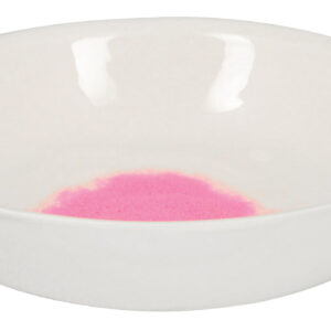 Basin Evaporating - Porcelain flat form with spout 100 ml
