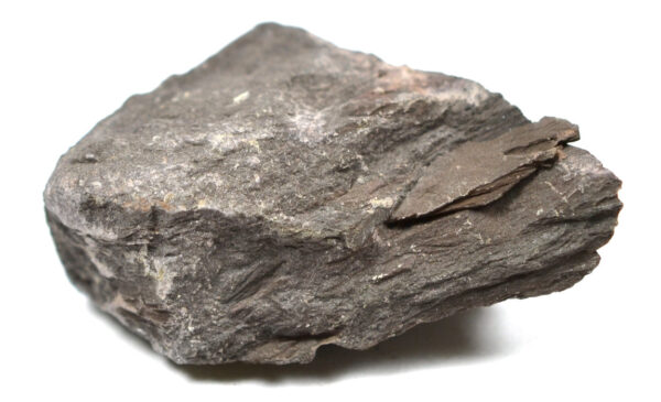 Eisco Hornfels Specimen (Metamorphic Rock) Approx. 1" (3cm) - Pack of 12