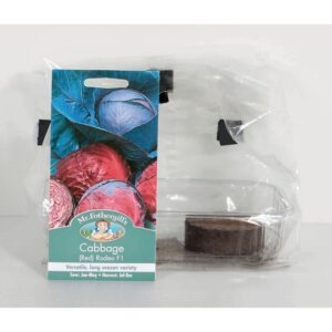 GroBox Window Garden - Cabbage