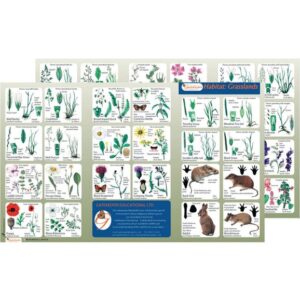 Wildlife Habitat Guide: Grassland Pack of five