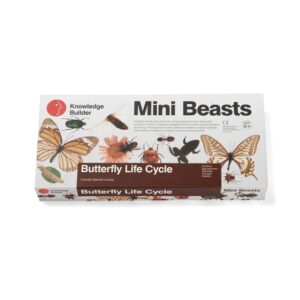 Butterfly Life Cycle : Real Life Specimens