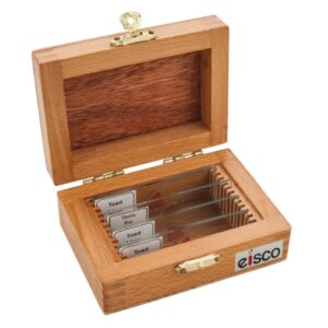 Microscope Slide Storage Box Wood - 12 Slide Capacity