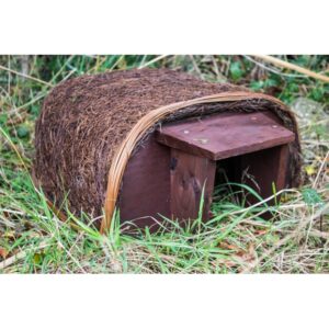 Hedgehog House