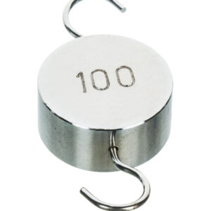 Flat Weights 100g - Brass - Spare / Replacement - Eisco Labs