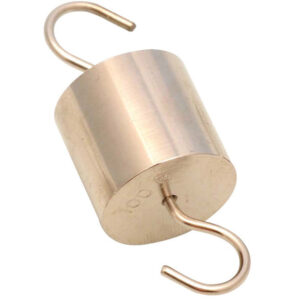 Hooked Weight, 100g - Brass - Spare / Replacement - Eisco Labs