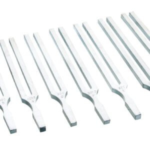 Tuning Forks Frequency 384Hz - Aluminum - Eisco Labs