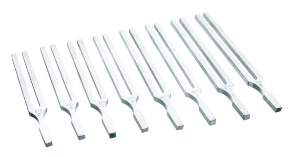 Tuning Forks Frequency 384Hz - Aluminum - Eisco Labs