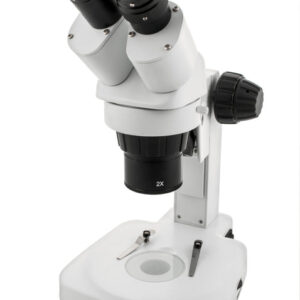 Power Stereo Microscope - Triple Magnification