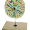 Eisco Labs Animal Cell Model on Stand; greatly magnified; cell 9" X 8" X 3"
