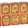 Model Cell Division Mitosis