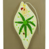 EISCO Euglena Model