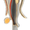 Model Hydra