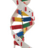 DNA Model Kit