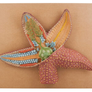Model Star Fish L.S.