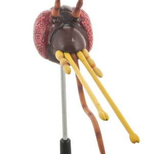 Model Mosquito Head