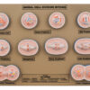 Model Animal Cell Division Mitosis - Mini