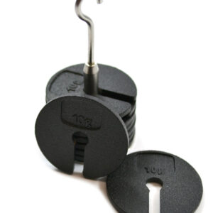 Eisco Labs Slotted Masses Set- Zinc Casted, Set of 9 weights, one hanger each of 10g, Total 100g