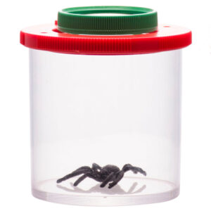 Bug Viewer with Dual 3X/6X Magnification - Observe Any Small Object