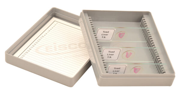 EISCO Slide Box Polystyrene 25 Slides