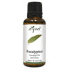 Difeel Tea Tree (100% Pure Essential Oil) 30ml/fl Oz(u.s)
