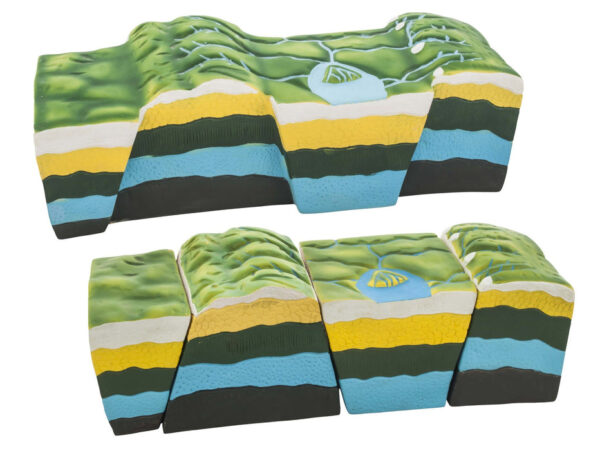 Fold & Fault Model - Geology Tectonics Study Model - Eisco Labs