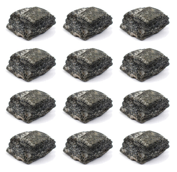 12PK Biotite Gneiss Rock Specimen, 1" - Geologist Selected Samples - Eisco Labs