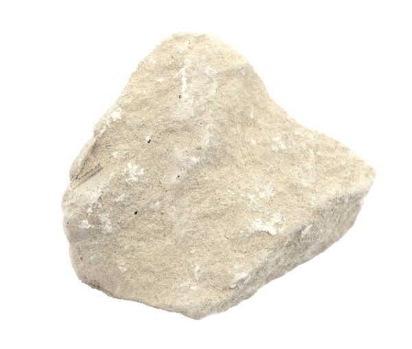 Raw Limestone Chalk, Sedimentary Rock Specimen - Approx. 1" - Geologist Selected & Hand Processed - Great for Science Classrooms - Eisco Labs