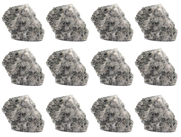 12PK Raw Porphyritic Granite 1" - Geologist Selected Samples - Eisco Labs