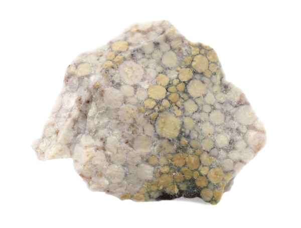 12PK Raw Conglomerate Rock Specimens, 1" - Geologist Selected Samples - Eisco Labs