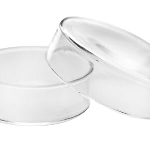 Petri Dish, 2" (50mm) - Beaded Edges - Easy to Sterilize for Repeated Use - Borosilicate Glass - Eisco Labs
