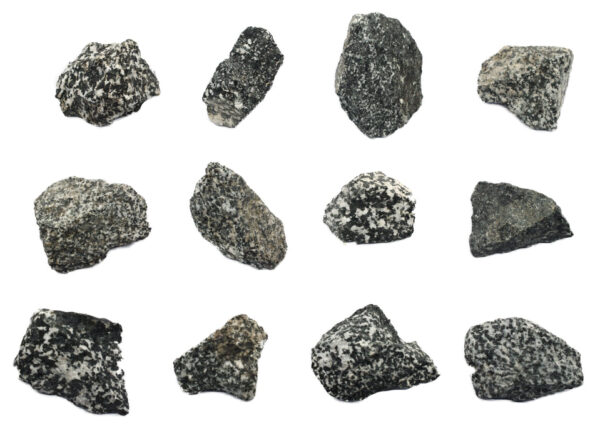 12 Pack - Raw Diorite Igneous Rock Specimens - Approx. 1"