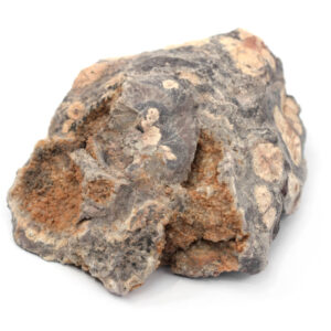 Raw Rhyolite Igneous Rock Specimen - Hand Sample - Approx. 3"