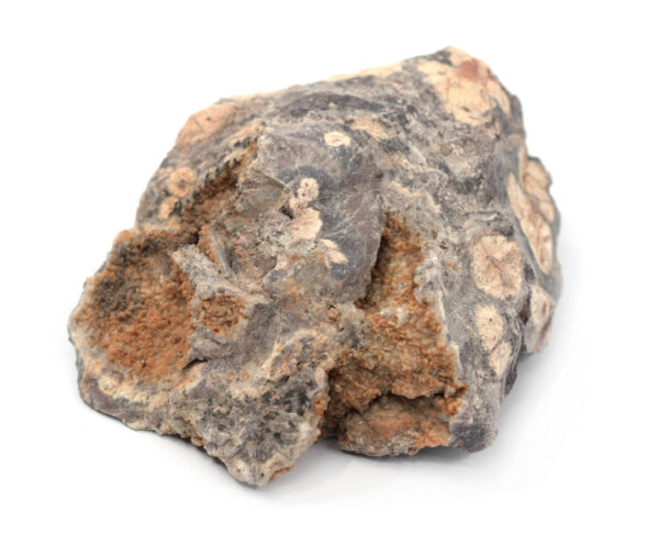 Raw Rhyolite Igneous Rock Specimen - Hand Sample - Approx. 3"