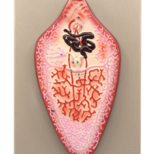 Liver Fluke Worm Model 10"x7" - Numbered Structures - Hand Painted