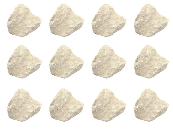 12PK Raw Limestone Chalk, Sedimentary Rock Specimens - Approx. 1" - Geologist Selected & Hand Processed - Great for Science Classrooms - Class Pack - Eisco Labs