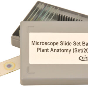 Plant Anatomy Microscope Slide Set - 20 Slides in Plastic Storage Box