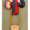 Eisco Human Excratory System Model