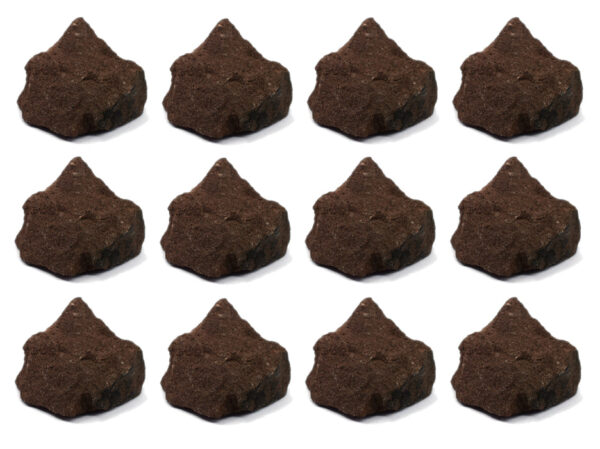 12PK Raw Red Sandstone Specimen, 1" - Geologist Selected Samples - Eisco Labs
