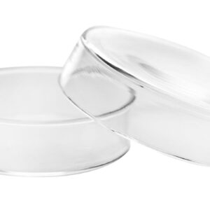 Petri Dish, 3.15" (80mm) - Beaded Edges - Easy to Sterilize for Repeated Use - Borosilicate Glass - Eisco Labs