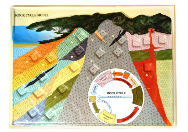 Rock Cycle Model, 18" x 24" - 3D Cross Section of Earth Crust - Includes Teachers Guide