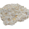 Raw Coquina Sedimentary Rock Specimen - Approx. 1"