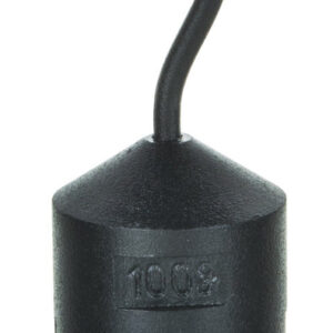 Hooked Iron Weight, 100g - with Bottom Slot - Powder Coated Steel - Eisco Labs