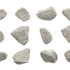 12 Pack - Zoolitic Limestone Sedimentary Rock Specimens - Approx. 1"
